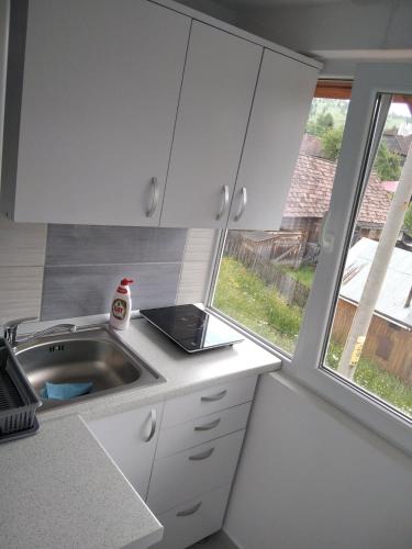 Anna Guesthouse in Lunca De Sus