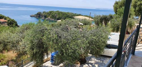  Sivota Apartments in Syvota