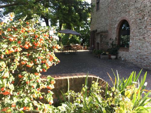 Podere Sanripoli - Poppiano