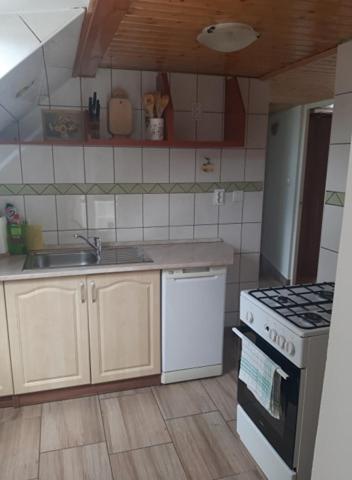 Kitchen, Aleksa apartman in Lesencetomaj