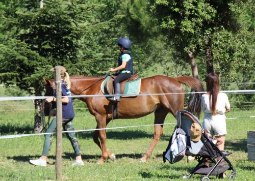 Tenuta il Giogo