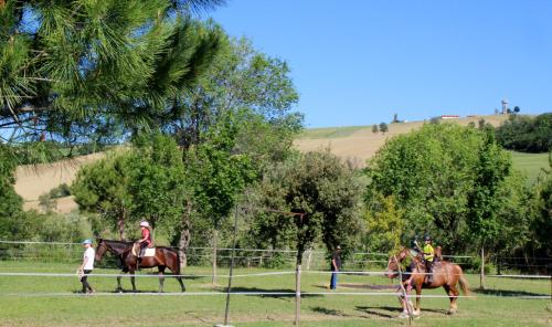 Tenuta il Giogo