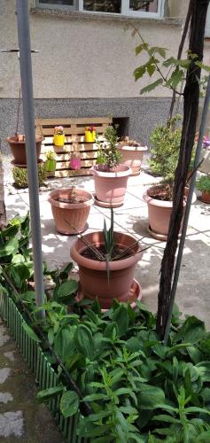 Draga Apartment - image 3