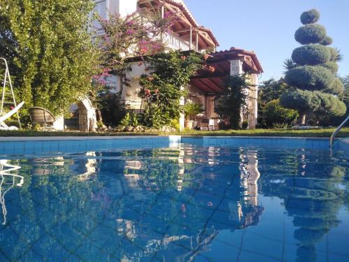 Villa Amelie Vasiliai Heraklion Crete - image 7
