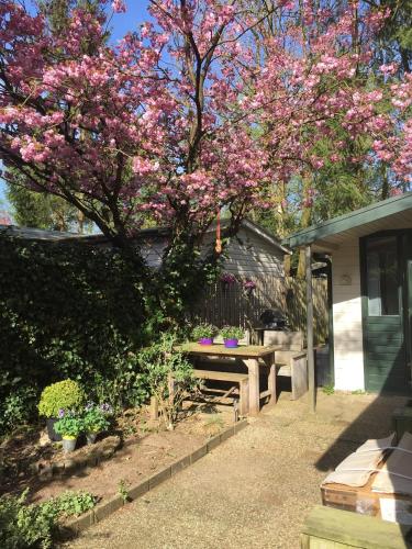 Natuurhuisje Putten