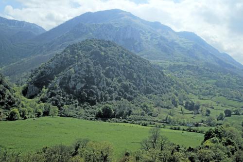 Mirador del Oso