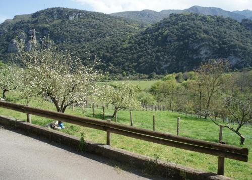 Mirador del Oso