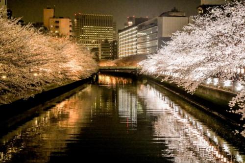 Prime Suites Tokyo