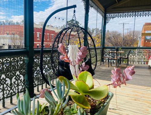 Treehouse Hideouts Balcony Apartment - Port of Echuca Townhouse