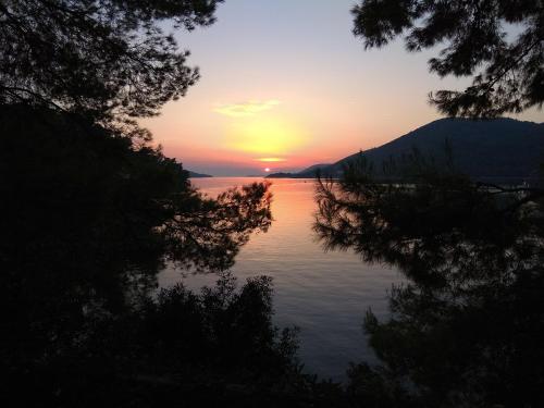 Apartman uz more - image 6