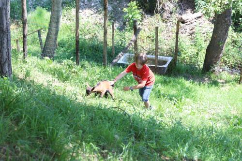 Agriturismo Fattoria Monte Baldo - image 11