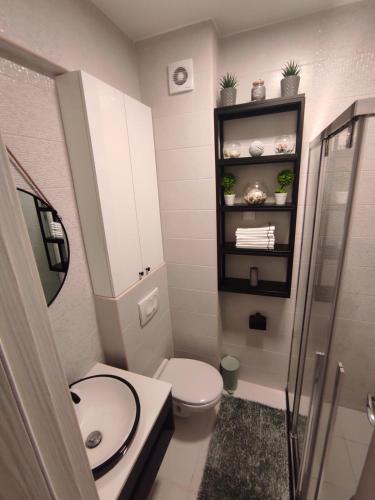 One-Bedroom Apartment image 9