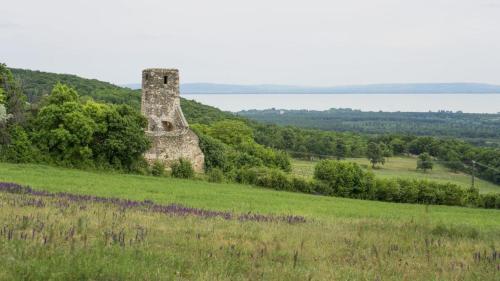 ที่เที่ยวใกล้ที่พัก, Vadkert Vendégház (Vadkert Vendeghaz) in กลางเมืองเชเกสเฟเฮอร์วาร์