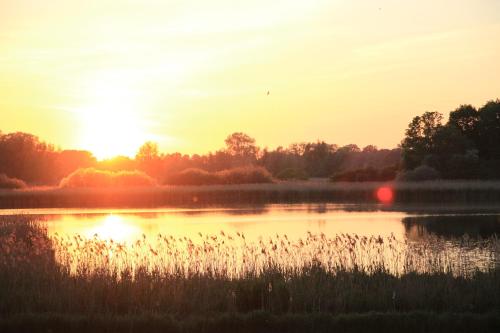 Ferienhäuser Seeblick