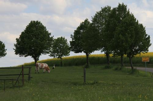 Ferienhäuser Seeblick