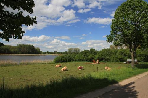 Ferienhäuser Seeblick