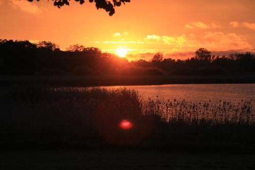 Ferienhäuser Seeblick