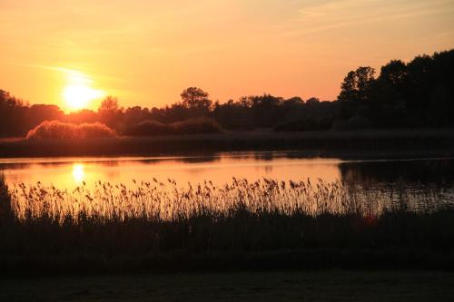 Ferienhäuser Seeblick