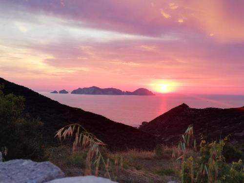  Casa vacanze Ombretta, Ferienwohnung in Ponza