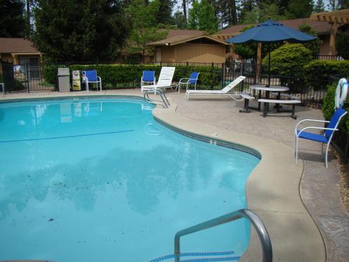 Ponderosa Gardens Motel - 수영장