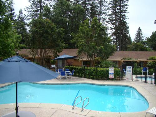 Ponderosa Gardens Motel - 수영장