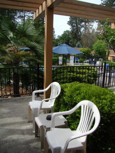 Ponderosa Gardens Motel - 정원