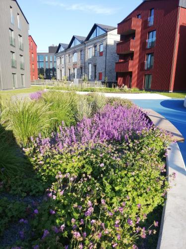 Kalamaja Garden, Tallinn