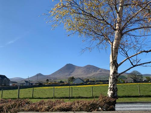 Lovely 2-Bed Cottage at the Foot of the Mournes