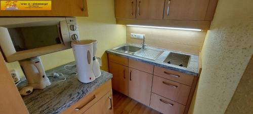  Apartment Esmeralda - FiS - Ferien im Salzkammergut in Tauplitz