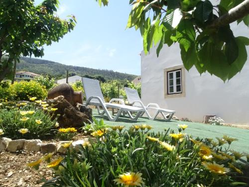 Casa Do Avô In Montejunto - main image