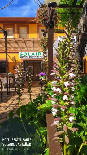 Hostal Restaurante Solaire