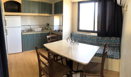 B&B Apricot - image 5