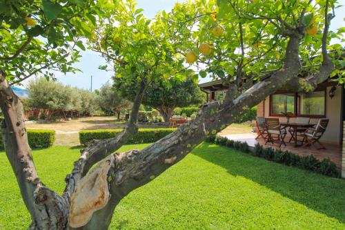 La Casa di Lina - Capo d'Orlando, casa con ampio giardino