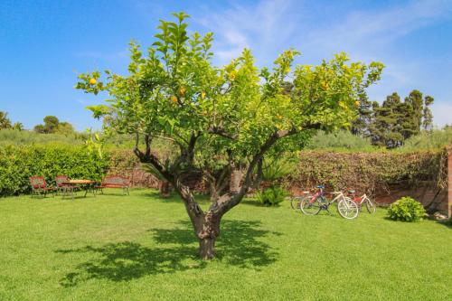 La Casa di Lina - Capo d'Orlando, casa con ampio giardino