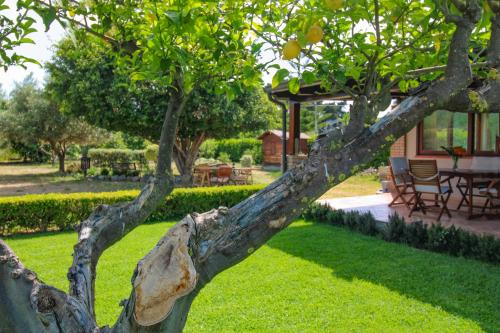 La Casa di Lina - Capo d'Orlando, casa con ampio giardino