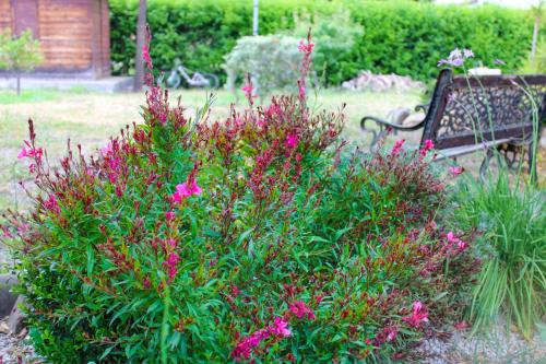 La Casa di Lina - Capo d'Orlando, casa con ampio giardino