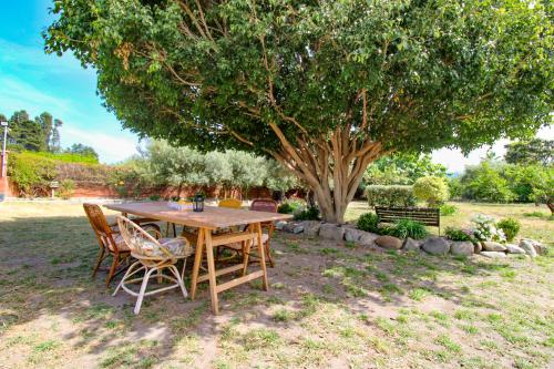 La Casa di Lina - Capo d'Orlando, casa con ampio giardino