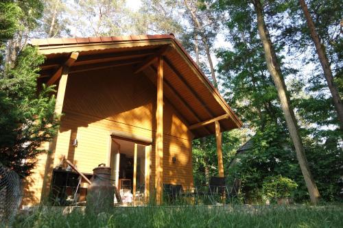 Wald und Wohlsein in Beelitz, Deutschland