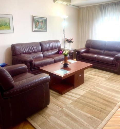 Family Apartment Ivanovic, Skopje (Foto 4)