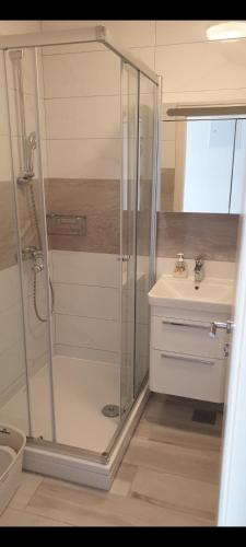 One-Bedroom Apartment image 1