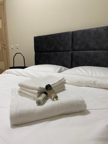 V15 Apartment, Druskininkai (foto 10)