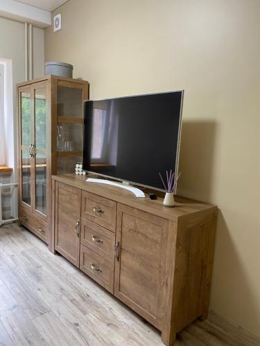V15 Apartment, Druskininkai (foto 8)