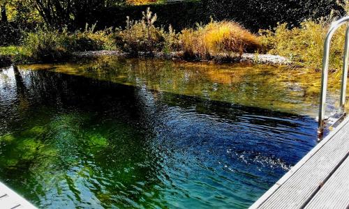 בריכת שחיה, Ferienidylle Oberschützen (Ferienidylle Oberschutzen) in לויפרסדורף