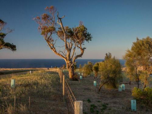 Fleurieu Coastal Retreat Lot 150 Myponga Beach