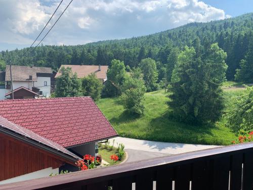 Žigon Bed & Breakfast - image 12