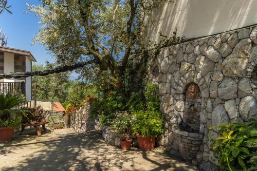 Villa Mattia in the Land of Sirens - image 2