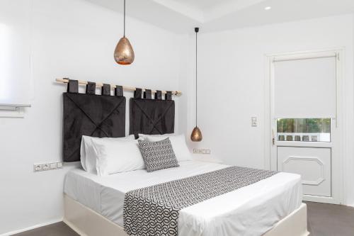 1 queen bed, 2 sofa beds