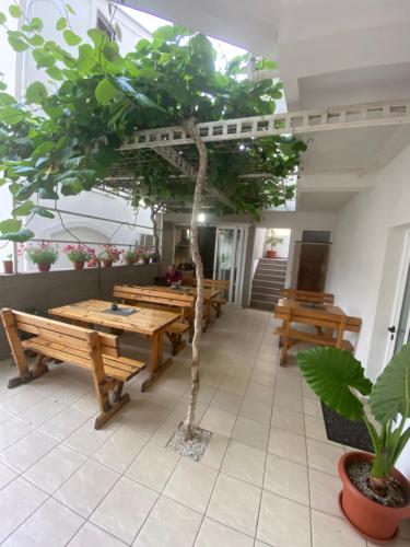 Apartments Azzuro - image 9