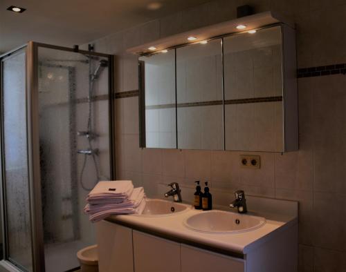 One-Bedroom Apartment image 10