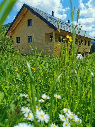 Living Apartment_2 in Hittisau, Österreich